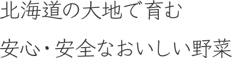 北海道の大地で育む安心・安全なおいしい野菜