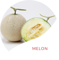 MELON