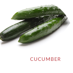 CUCUMBER